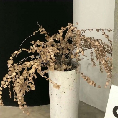 尖扎福瑞交流群